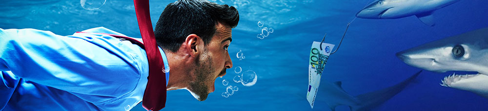 Shark Tank Orange County, NY